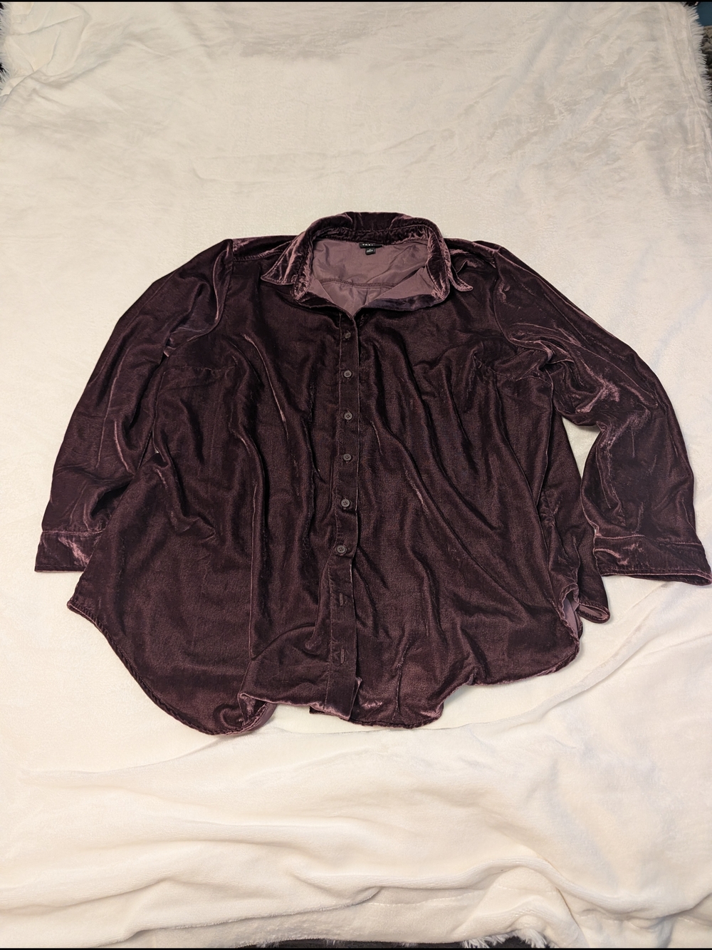 torrid Plush Velvet Collared Top in Plum